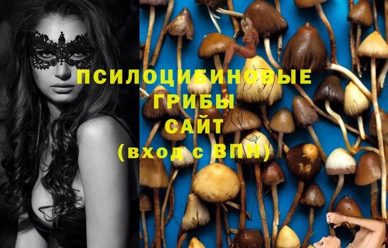 что такое наркотик  Саров  Псилоцибиновые грибы MAGIC MUSHROOMS 